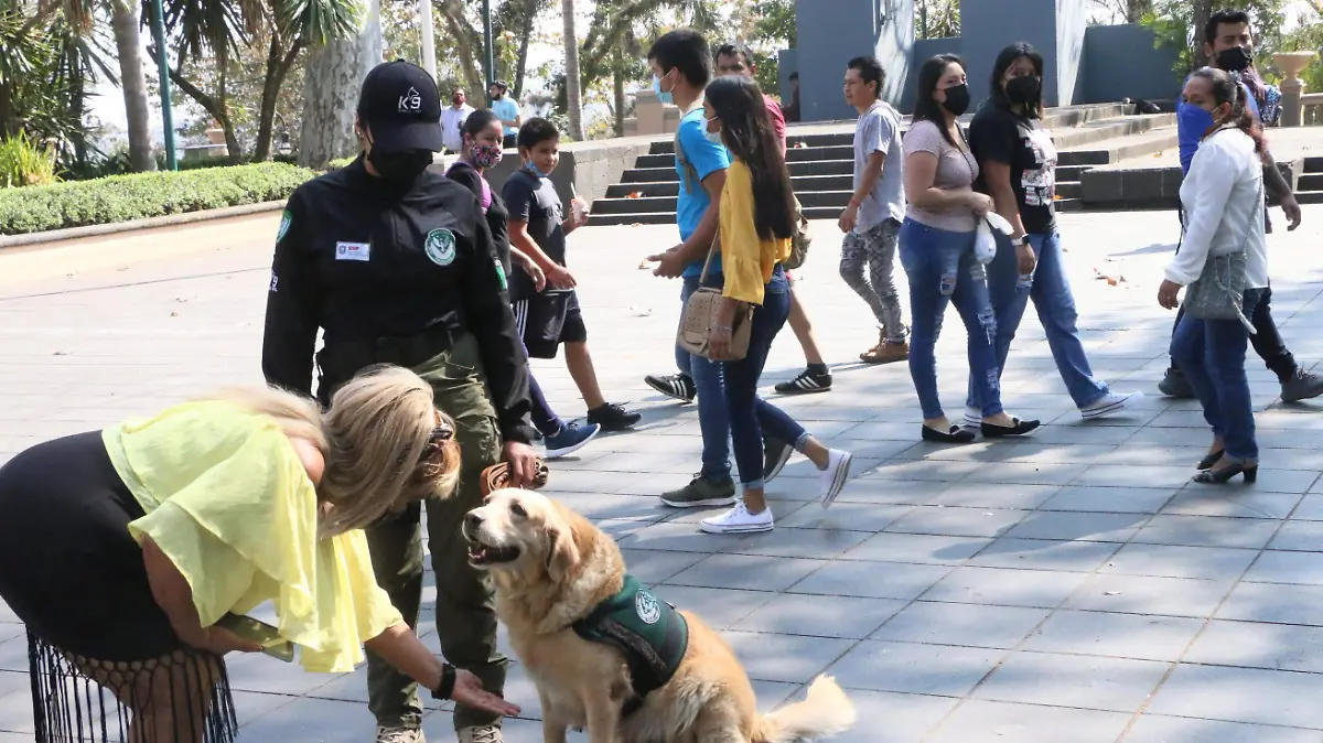 Perro policía